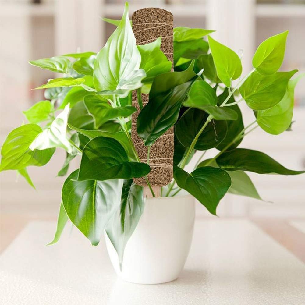 Skanto | Kokosnøtt mosepinne for klatreplanter – Naturlig klatrehjelp for stueplanter og hage