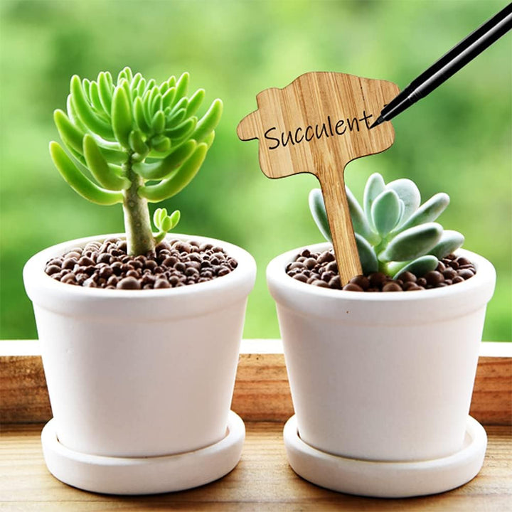 Skanto | Planteetiketter laget av tre for hage og balkong – Om skrivbare etiketter for urter og planter