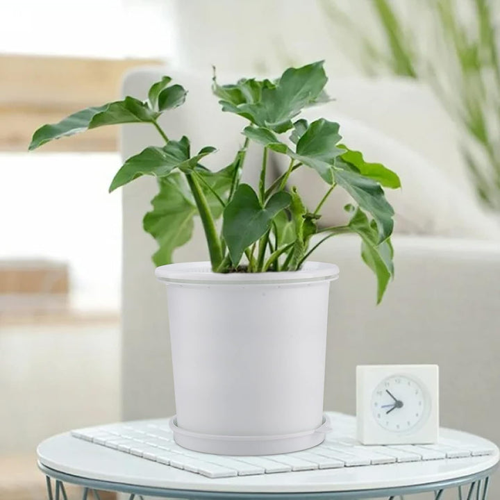 Skanto | Pustende Rotkontroll Potte for Planter – Ideell for Sunt Vekst og Optimal Lufting