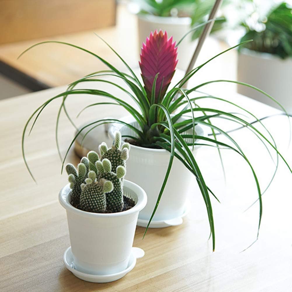 Skanto | Pustende Rotkontroll Potte for Planter – Ideell for Sunt Vekst og Optimal Lufting
