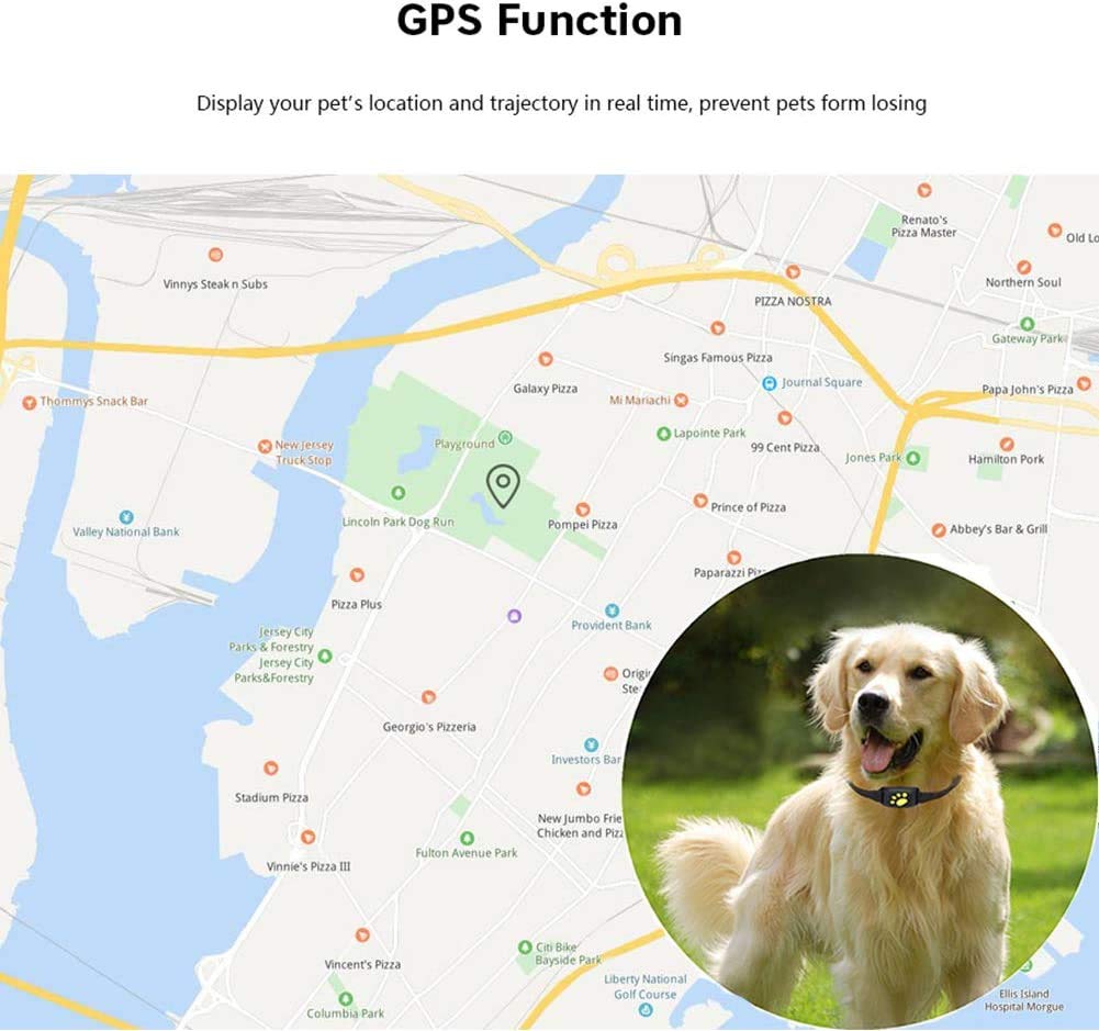 Skanto | Smart GPS Pet Collar med Sanntidssporing, Geo-Gjerdevarsler & Søvntilstand for Katter og Hunder