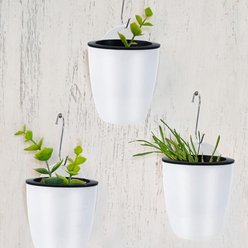 Skanto | Selvvannende hengende planterpotte – Moderne blomsterpotte for veggmontering