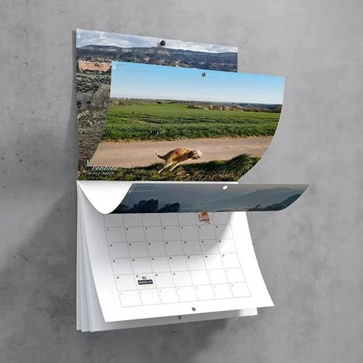 Morsomste Kalender-Hunder Bæsjer på Vakre Steder | "Kunstnerisk Utrykk" av Pelsvenner | Skanto
