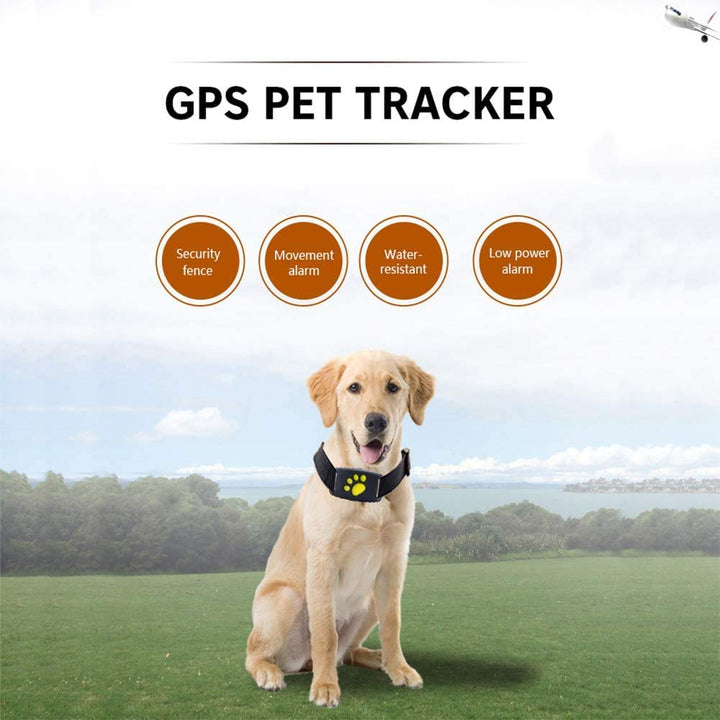 Intelligente GPS-Haustierhalsband med Echtzeit-Tracking, Geofencing-Warnungen og Schlafmodus for Katzen og Hunde