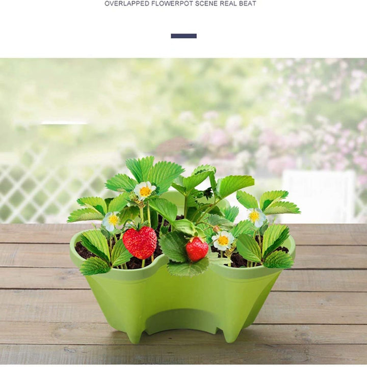 Skanto | 6-lags vertikal plante-tårn – Tredimensjonal blomstringssystem for hagen