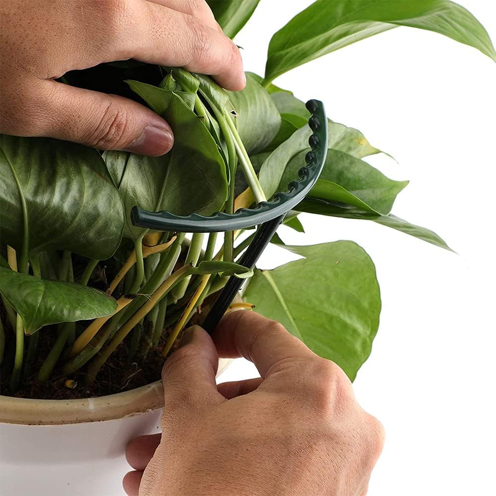 Skanto | Klatrestøtte for planter – Robust holder med burdesign for vekst og stabilitet