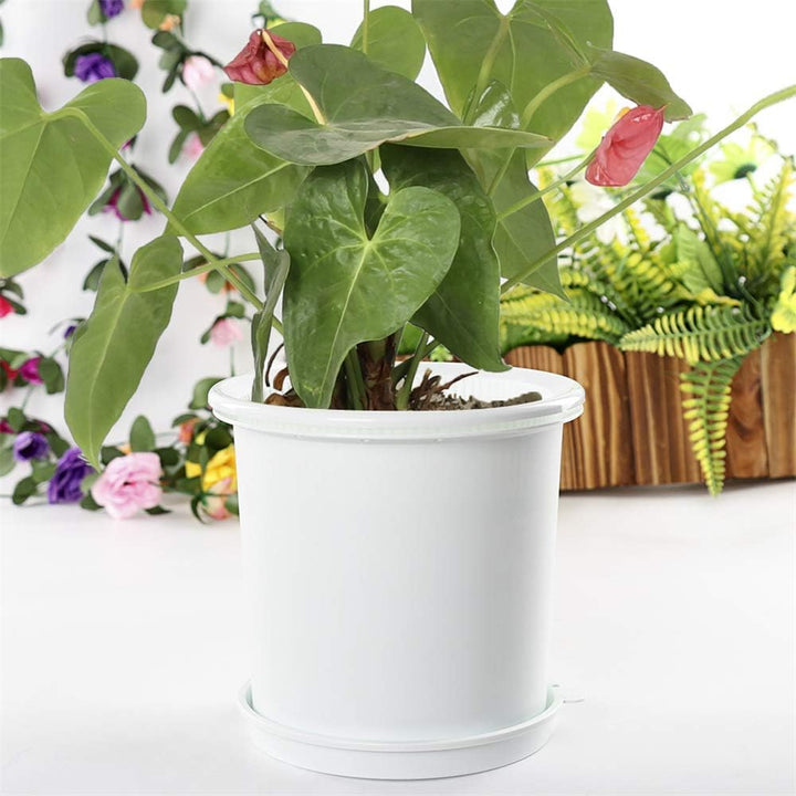 Skanto | Pustende Rotkontroll Potte for Planter – Ideell for Sunt Vekst og Optimal Lufting