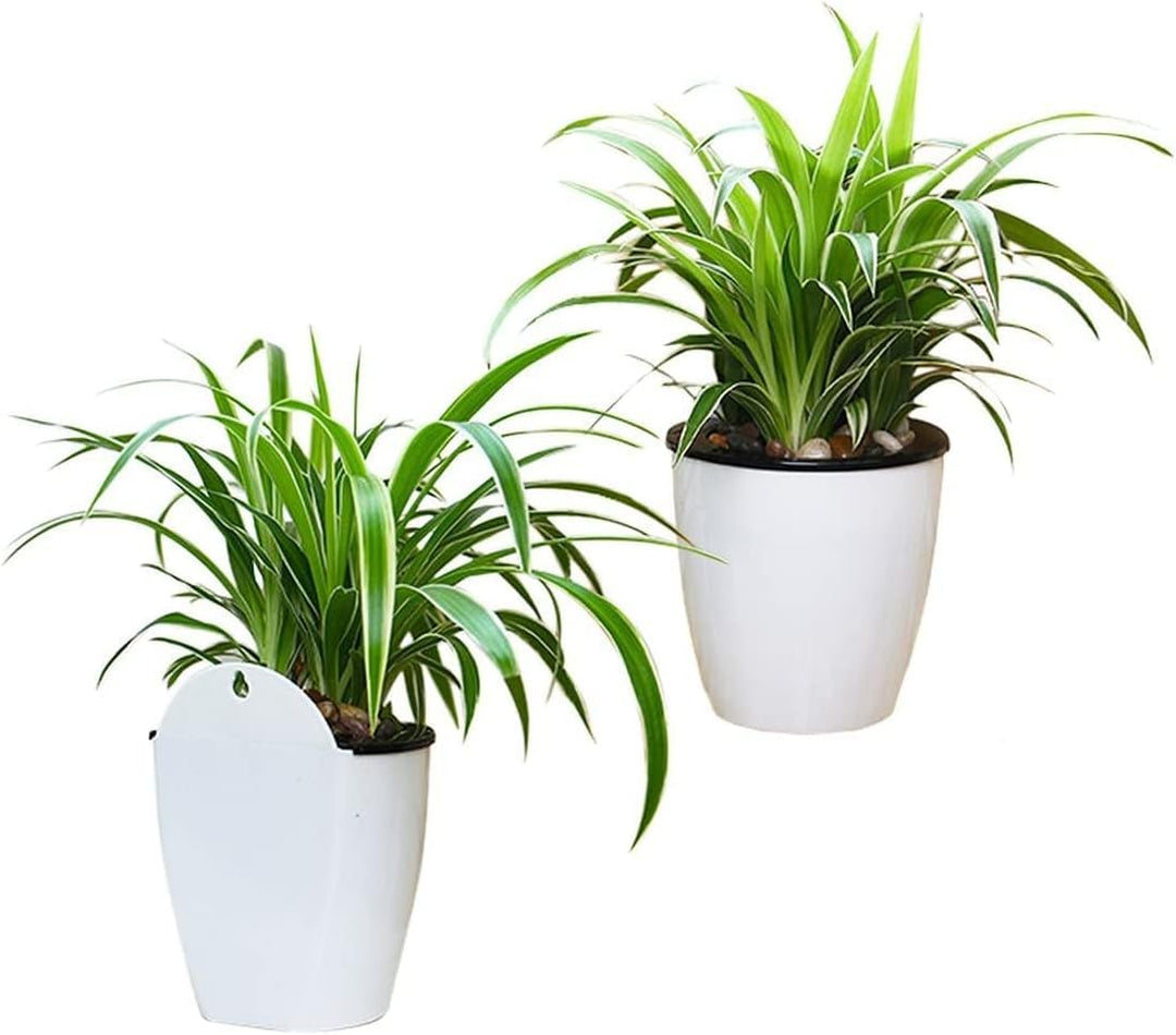 Skanto | Selvvannende hengende planterpotte – Moderne blomsterpotte for veggmontering