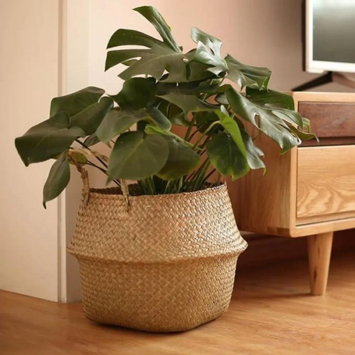 Skanto | Rattan Planteholder