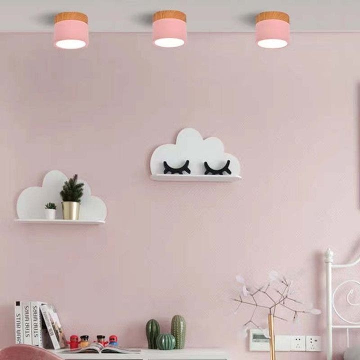 Morandi Style Modern LED Ceiling Lamp - LumiModo | Skanto