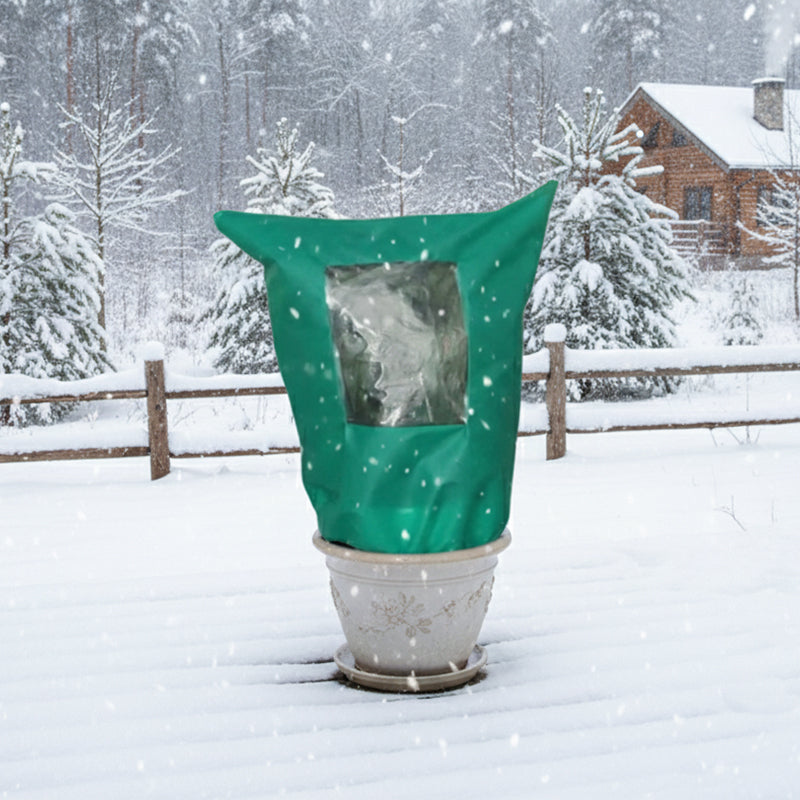 Skanto | CozyPlant – Beskytt plantene dine mot vinterkulden og hjelp dem å trives
