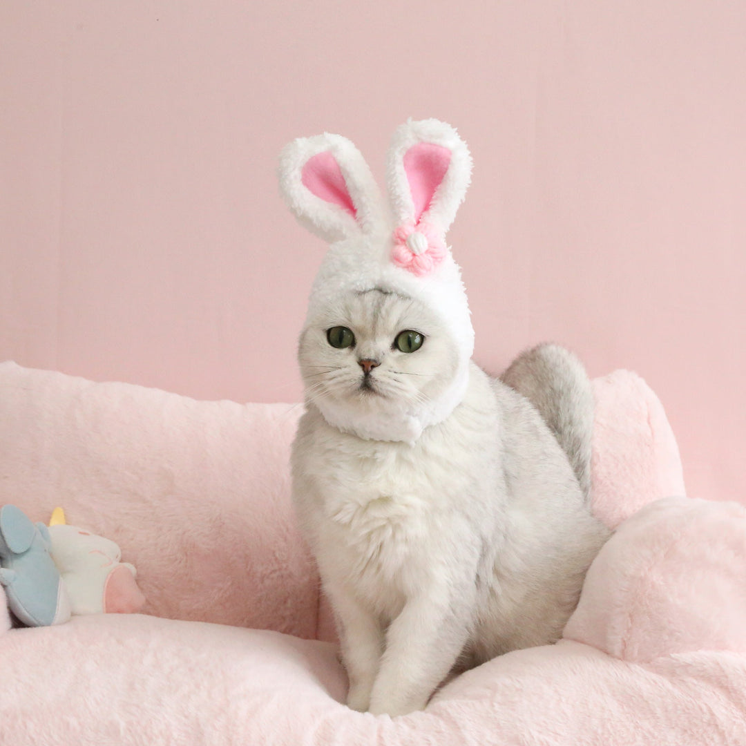 Plush Cartoon Pet Hat med katt, hund og kaninører | Skanto