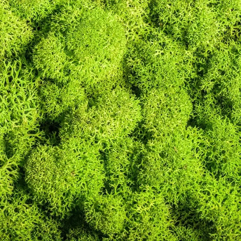 Skanto | Kunstig Mose for Landskapsforming – Mose og Blomster for Dekorasjon og Blomsterbinding