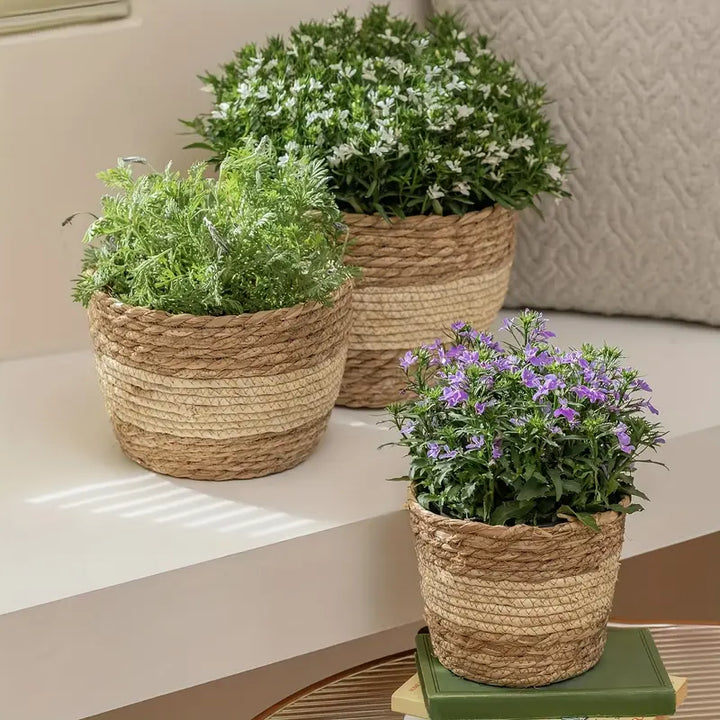 Skanto | Dekorative plantekurver laget av sjøgress i et sett med 3 – Håndvevde blomsterpotter med folieinnsats
