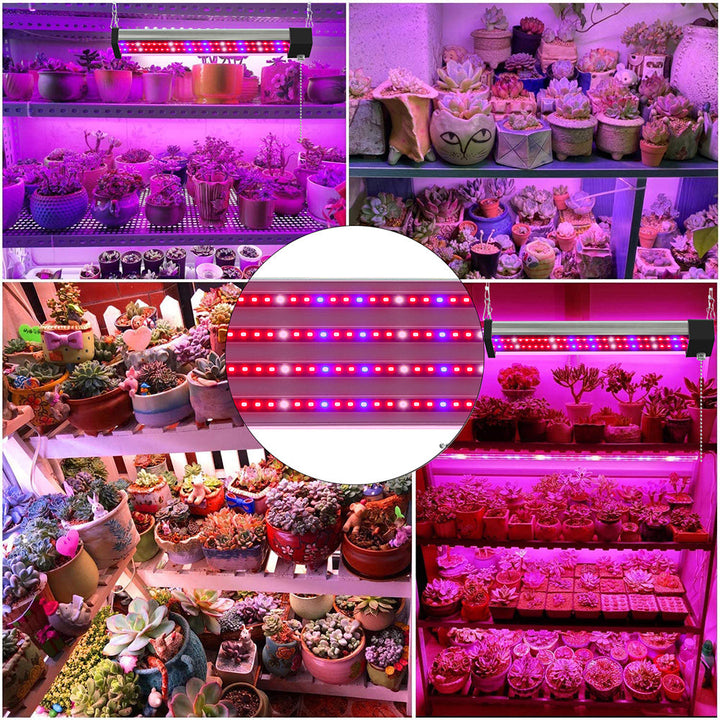 Skanto | LED plante lampe med fullspektrum belysning og trekkbryter for optimal plantevekst