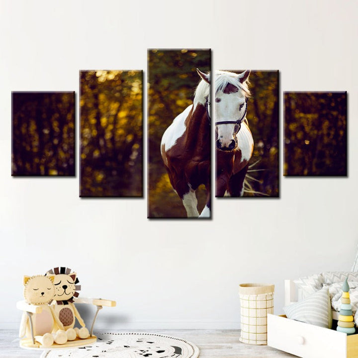 5-delt Courtly Overo hest - lerret veggkunst maleri | Skanto