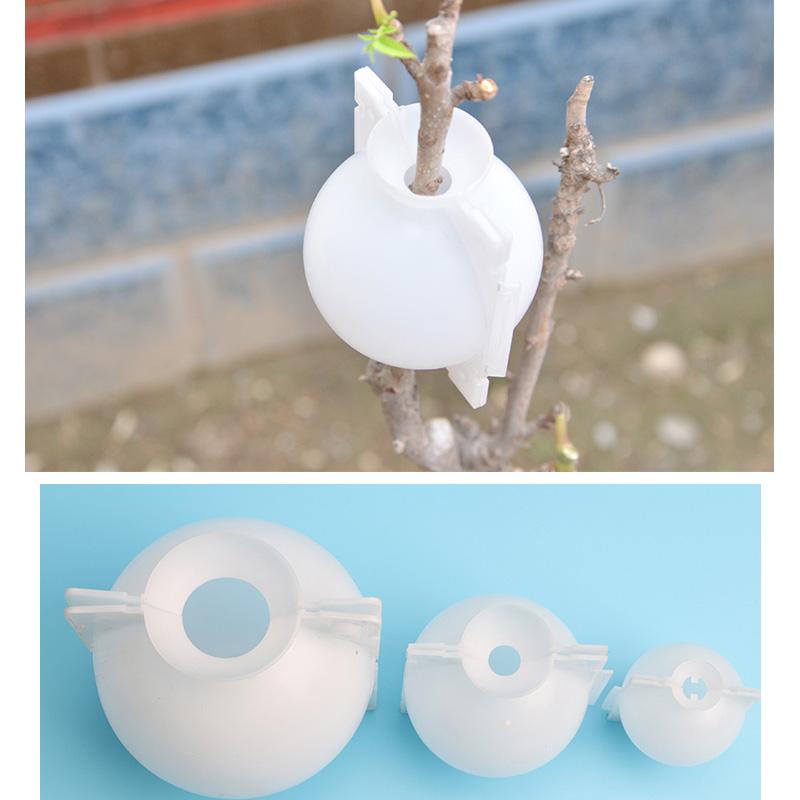 Air Layer Plant Propagation Capsule | Skanto