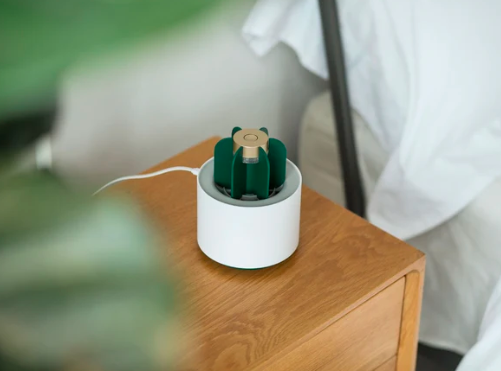 Skanto | Mygg Kaktus Lampe