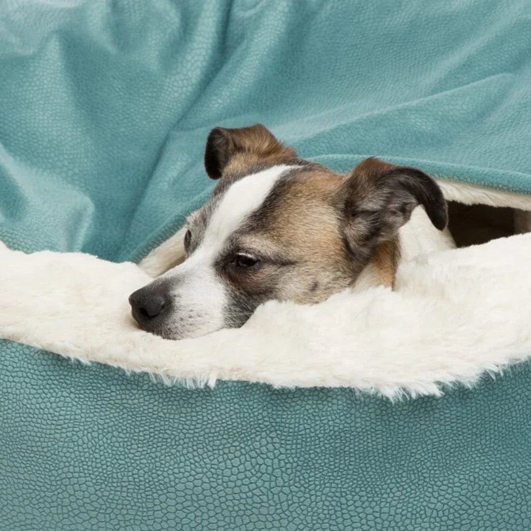 Cozy Pet Cave – FurHaven Retreat Skanto