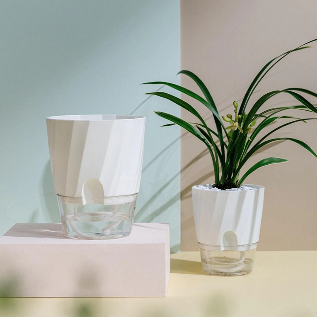Skanto | Selv vanning planter
