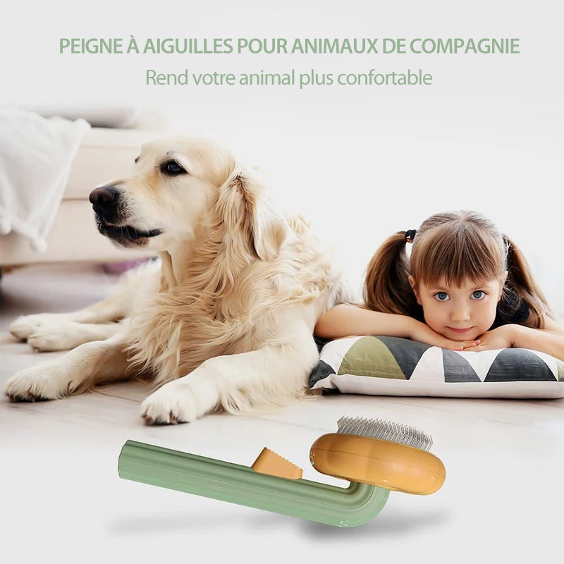 Pumpkin Comb Brush for Pets | Skanto