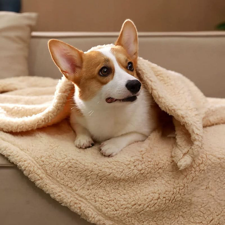 Skanto | FLOOPIE - Premium Pet Fleece Blanket