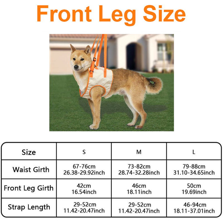 Skanto | Dog Support Lift Harness for ACL Rehab & Arthritis