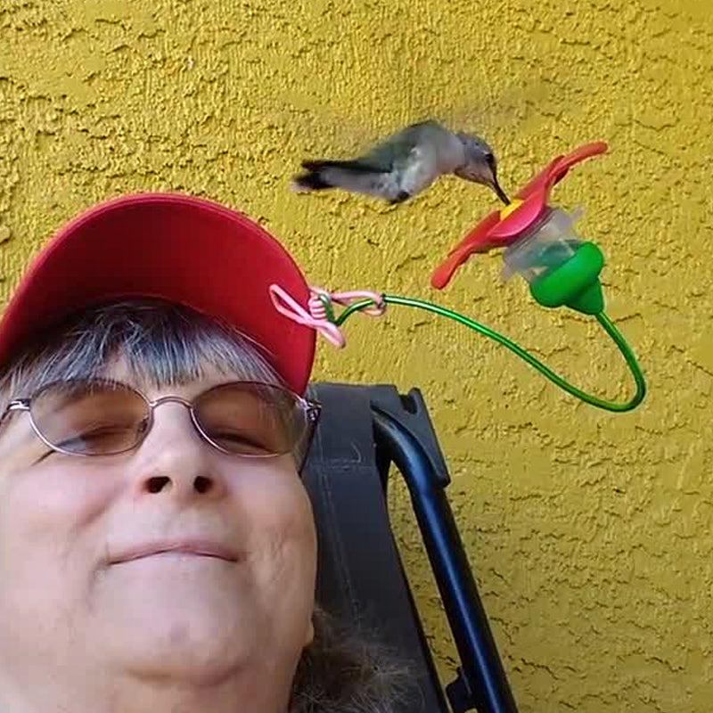 Skanto | Hatt Klype Kolibri Fôrer