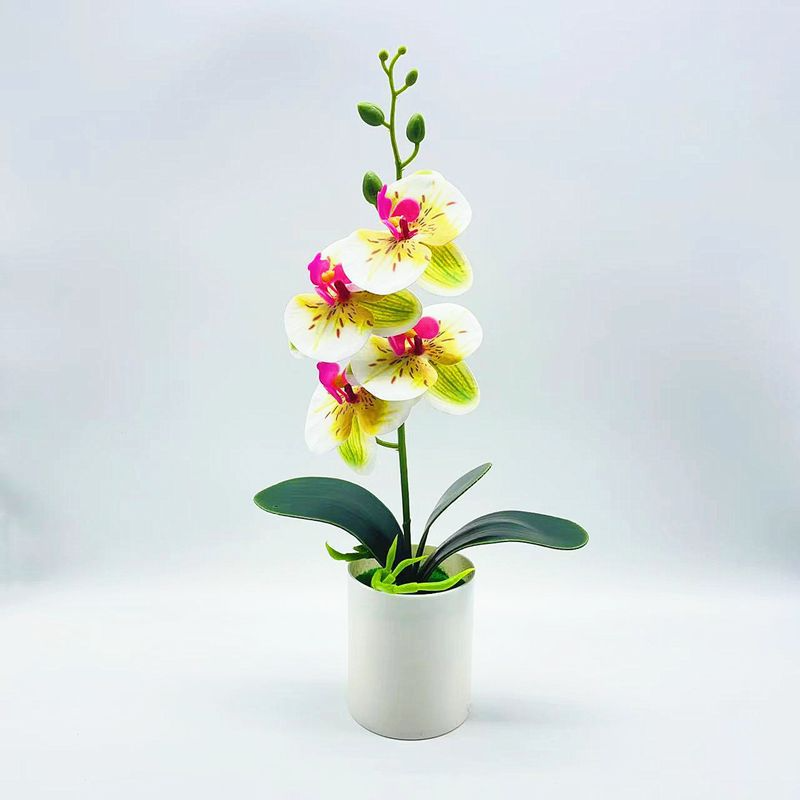 Skanto | Kunstig Orkidéblomst – Dekorativ Kunstig Plante for Stue og Borddekorasjon