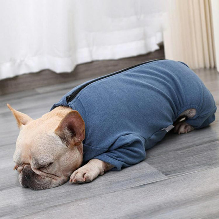Skanto | Dog Recovery Suit after Surgery