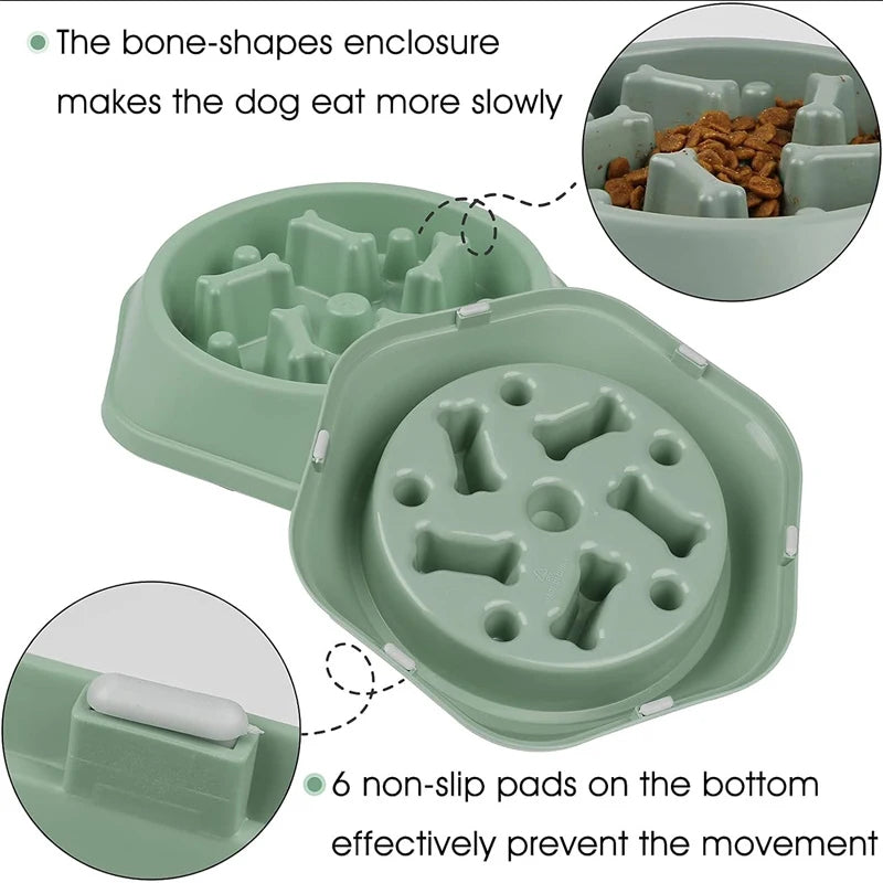 Slow Eating Feeding Station for Dogs Skanto