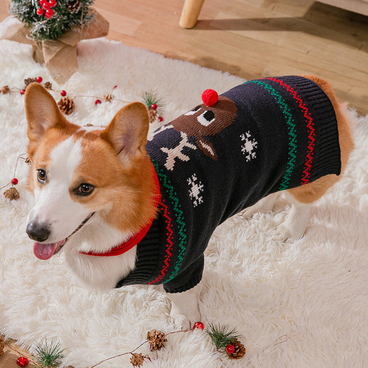 Varm julekleding for kjæledyr | Skanto