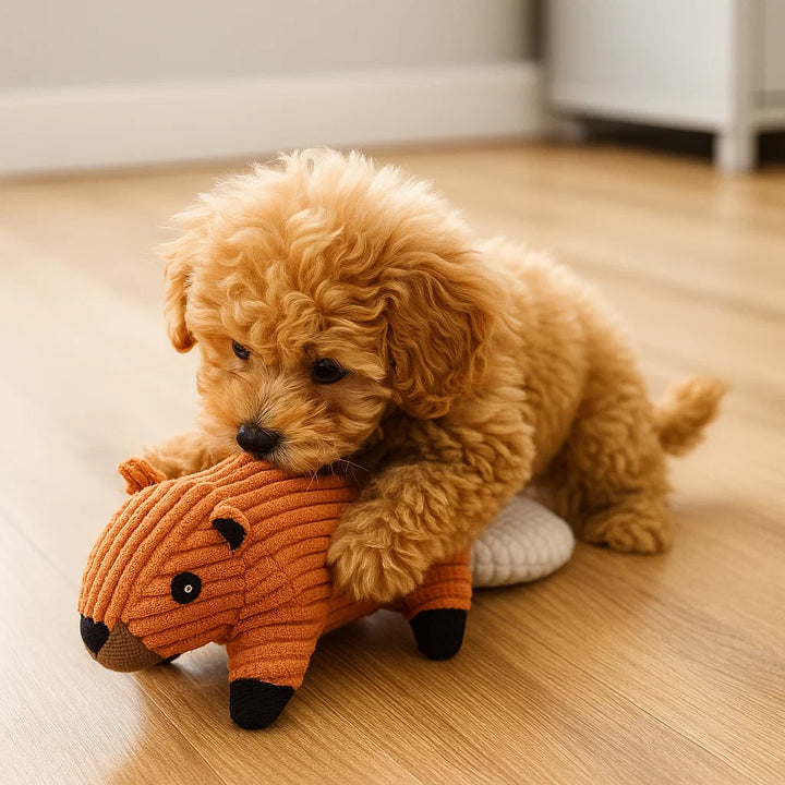 Skanto | Hundelek Plush Squeaky Chew Dyr