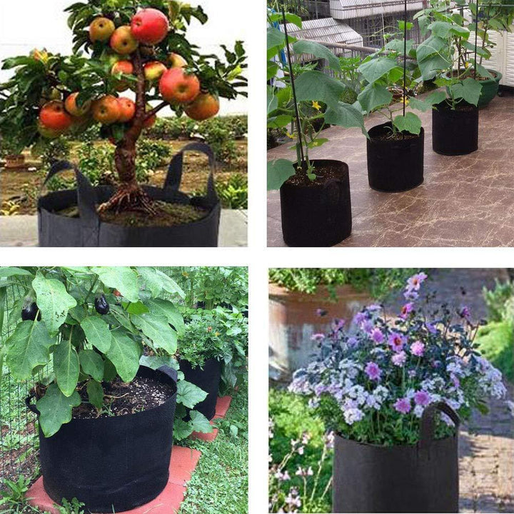 Vokseposer, Hageplantingspose | Norvo