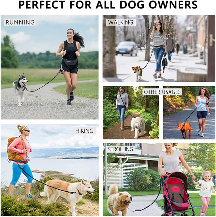 Skanto | PawsFree Pro – Nyt stressfrie turer med hunden din
