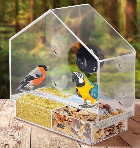 Smart Bird Feeder med Live Kamera | Skanto
