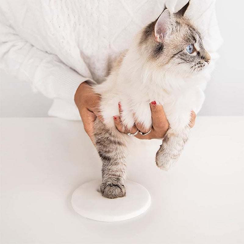 Skanto | Clay Pet Paw Impression Moulding Kit