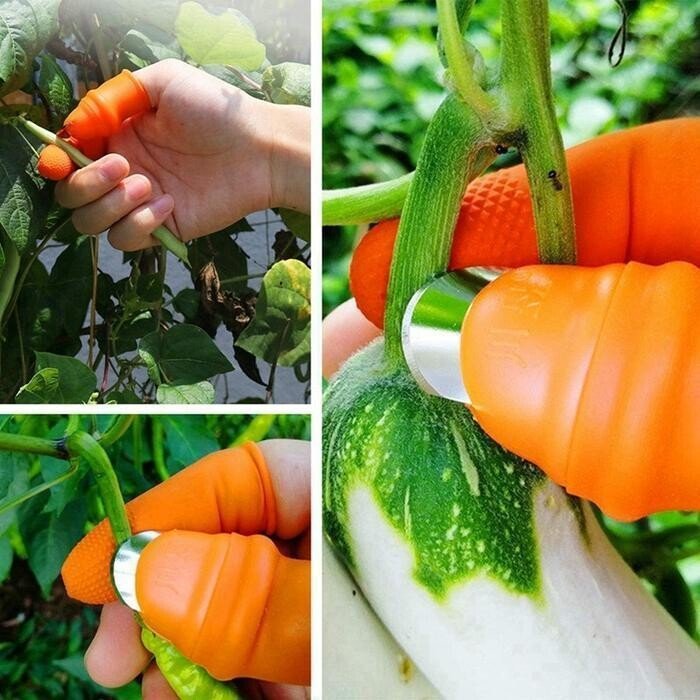 Skanto | JardinZen | Vekk din hagefred