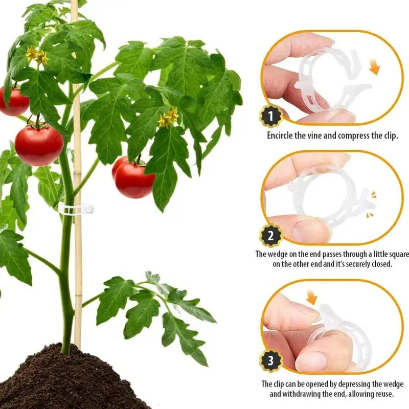 VitaGrip Clips — Sterk hold for majestetiske planter som vokser og trives stolt | Skanto