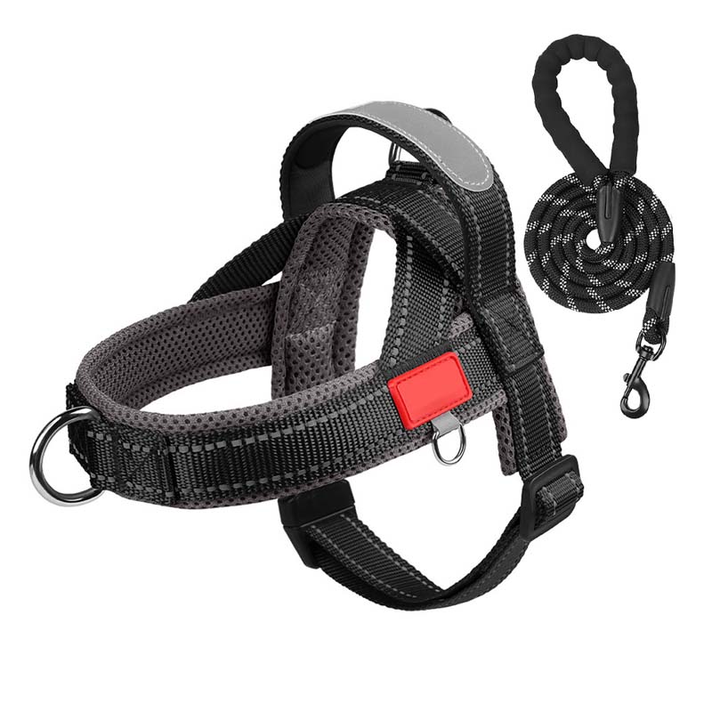 PawEase Comfort Harness — Avslappet påkledning og ubegrenset frihet for hunden din | Skanto