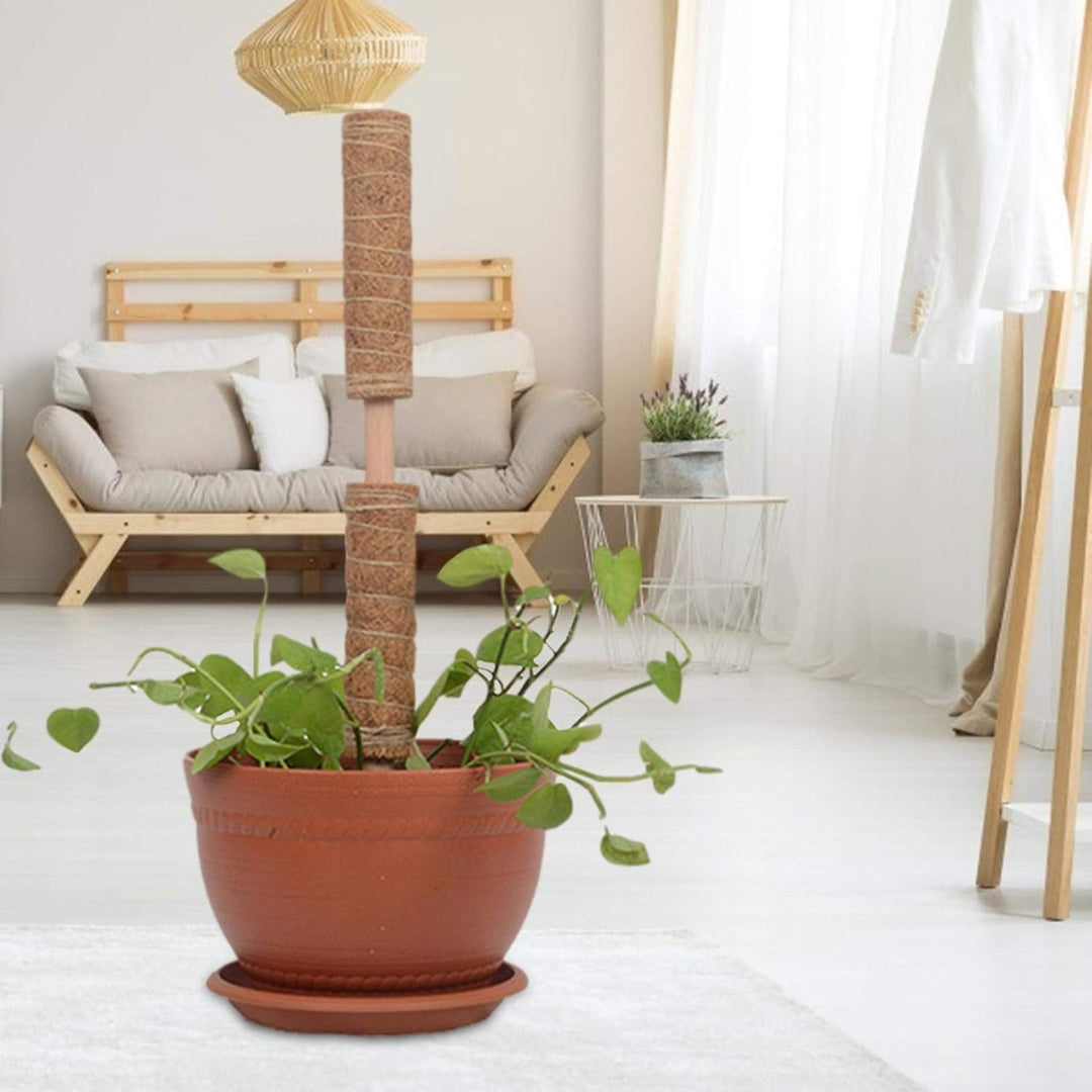 Skanto | Kokosnøtt mosepinne for klatreplanter – Naturlig klatrehjelp for stueplanter og hage