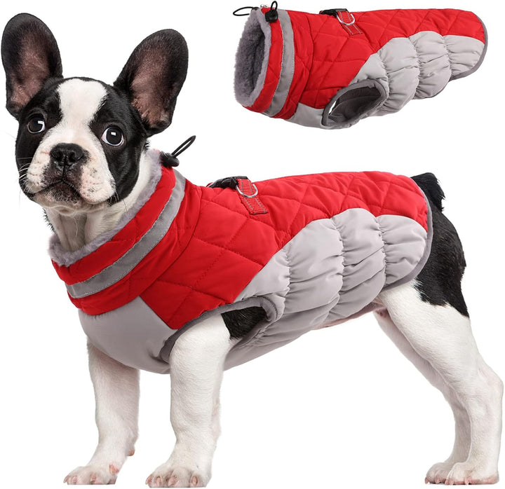 Skanto | SafeWalk Vintersele Jakke – Vanntett hundejakke med refleks og fleeceforing