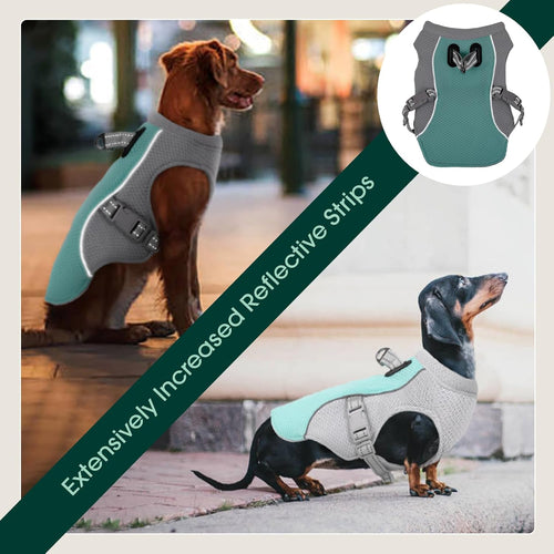 Skanto | Sommer Reflekterende Hundekjølevest & Hurtigutløsningssele