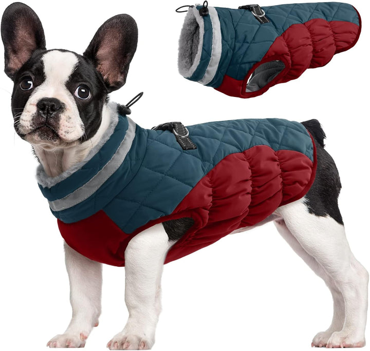 Skanto | SafeWalk Vintersele Jakke – Vanntett hundejakke med refleks og fleeceforing