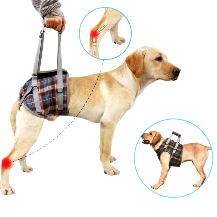 Skanto | Dog Lift Harness with Handle, Pet Recovery Sling