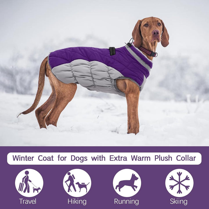 Skanto | SafeWalk Vintersele Jakke – Vanntett hundejakke med refleks og fleeceforing