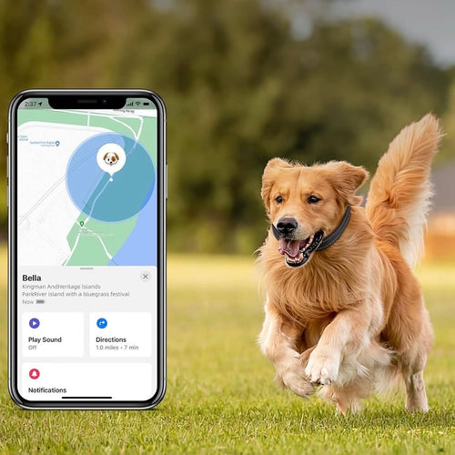 Skanto | LEAZO - AirTag hundehalsbånd