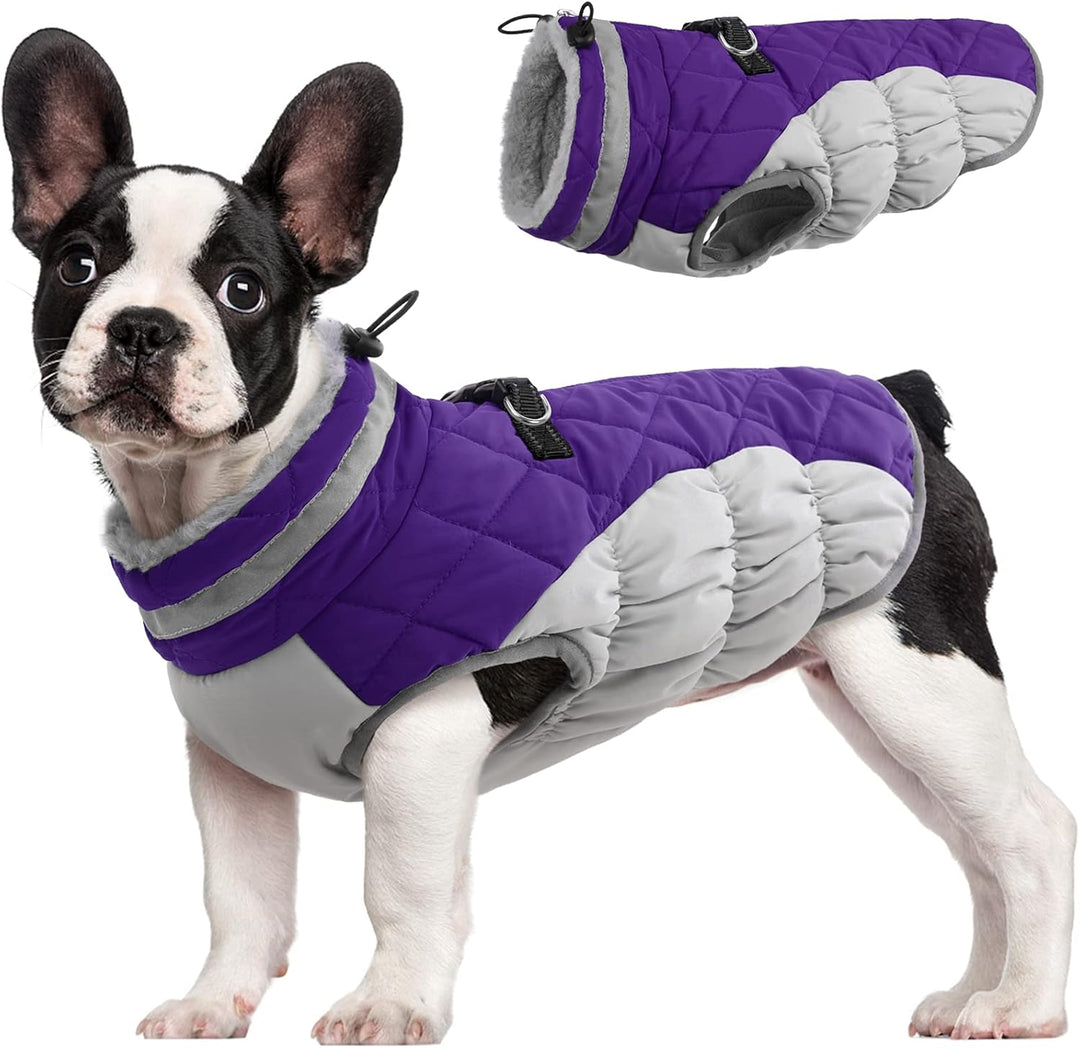 Skanto | SafeWalk Vintersele Jakke – Vanntett hundejakke med refleks og fleeceforing