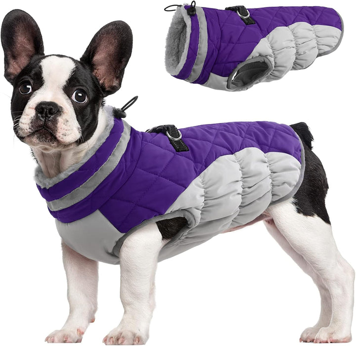 Skanto | SafeWalk Vintersele Jakke – Vanntett hundejakke med refleks og fleeceforing
