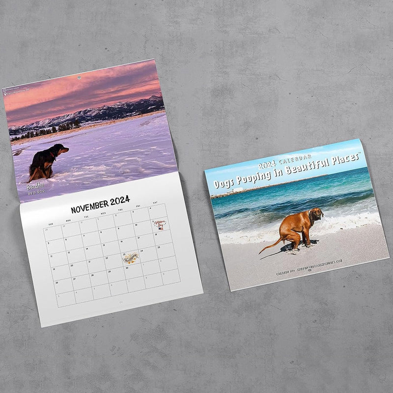 Morsomste Kalender-Hunder Bæsjer på Vakre Steder | "Kunstnerisk Utrykk" av Pelsvenner | Skanto